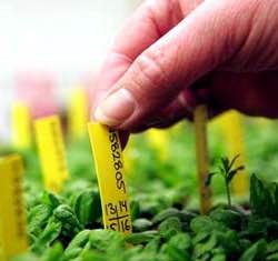 Saranno ridotti i Centri per la ricerca e la sperimentazione in agricoltura