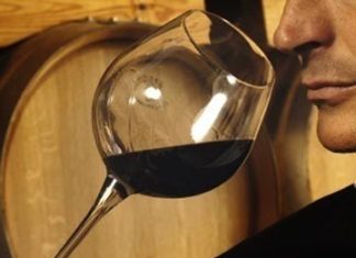 Francia. Millésime Bio, il Salone mondiale dei vini biologici
