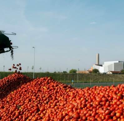 Filiera agroalimentare: uno spreco di 750 miliardi di dollari