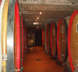 Norme per la produzione di vino biologico