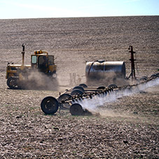 Residui di erbicida superiori ai limiti nella soia GM