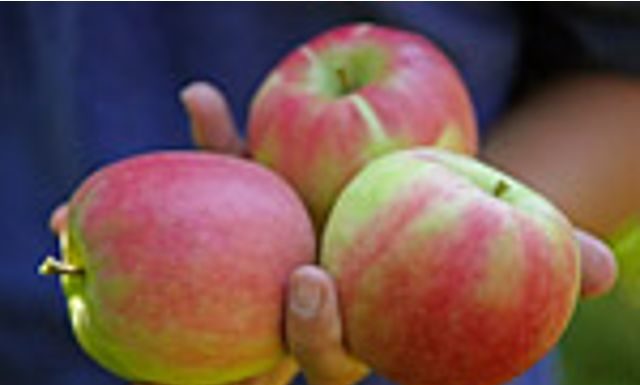 Le mele Bio Suedtirol diventano a garanzia AIAB Italia