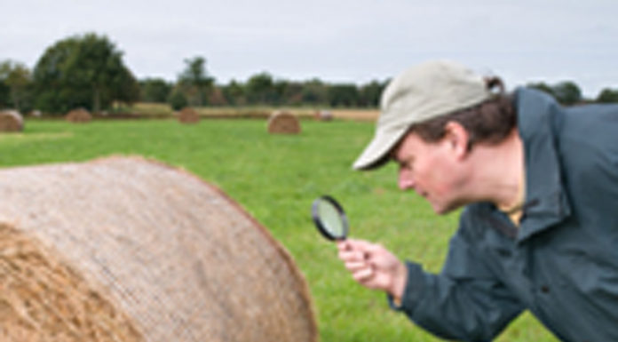 Misure per migliorare trasparenza e tracciabilità