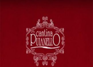 Reggiano Lambrusco Rosso Secco Schietto