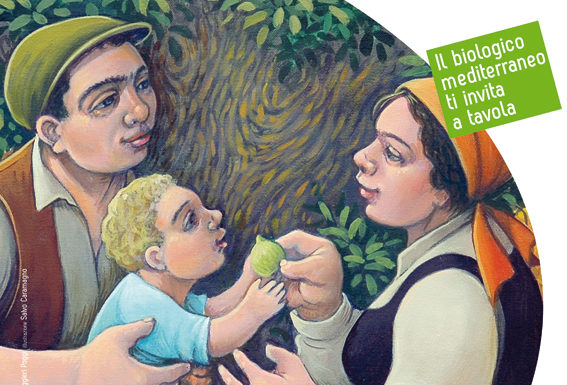 Viaggio nell’agricoltura biologica mediterranea