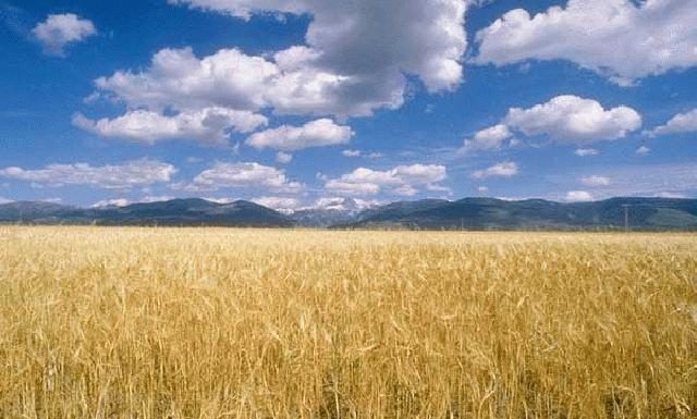 Semi blindati o semi liberi?