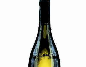 Sogno di Rivolta 2010