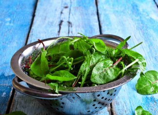 Perché scegliere vegan?