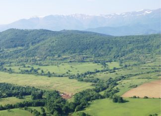 Agea: da ministero e regioni un silenzio assordante
