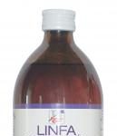 Bevanda alla linfa di betulla