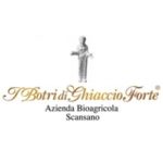 Morellino di Scansano Riserva Vigna i Botri