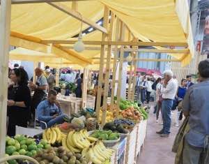 Bio in cifre 2016: tutte con il segno più