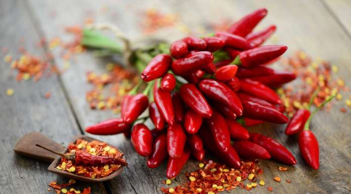 Il peperoncino migliora i nostri piatti e cresce anche nello spazio!