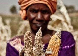 “Lotta alla fame e al cambiamento climatico debbono procedere insieme”