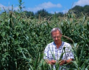 Un Comitato coordinerà la ricerca per l’agricoltura biologica e biodinamica
