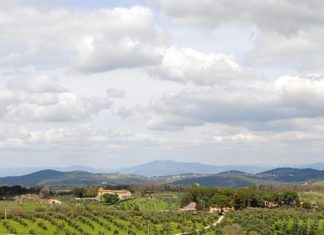 L’esperienza dei Bio distretti
