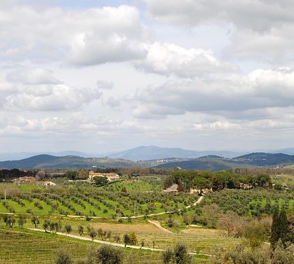 L’esperienza dei Bio distretti