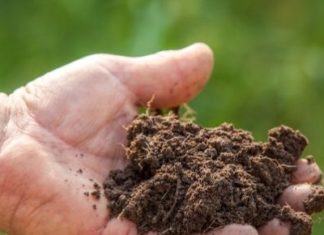 No alla scomunica della Biodinamica