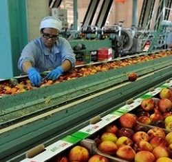 Le questioni all’ordine del giorno, viste da un’azienda leader del settore