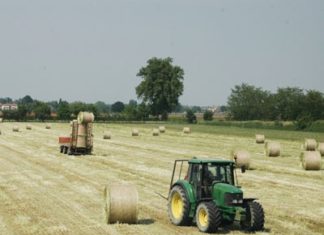 Uno studio Usa esamina le differenze fra rese in agricoltura biologica e convenzionale