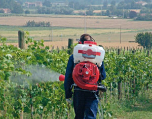 Per un’agricoltura biologica senza rame