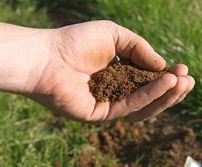 Rapporto Bio Bank 2016: il bio guida l’innovazione