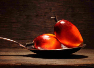 Quanto è nocivo l’olio di palma?