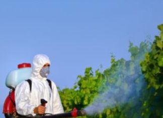 Presentato il dossier “Stop pesticidi” di Legambiente