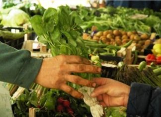 La sostenibilità ambientale ed economica delle filiere biologiche