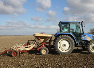 Il CREA-CER di Foggia vince il premio “TP Organics” per le innovazioni in agricoltura biologica