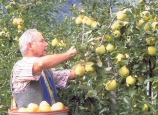 Più ricerca e formazione per l’agricoltura biologica
