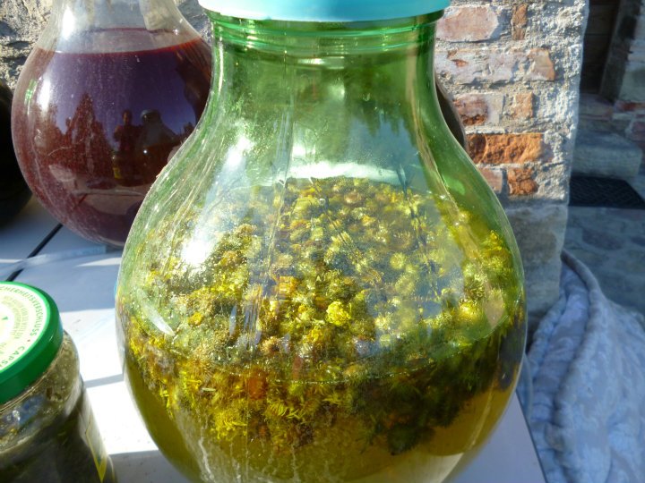 Laboratorio di Cosmesi Naturale