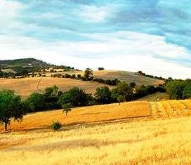 I primi risultati delle attività della Rete Rurale Nazionale 2014-2020