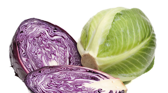 Verdure a crudo per la buona salute con gusto, il caso del cavolo e un’idea di utilizzo