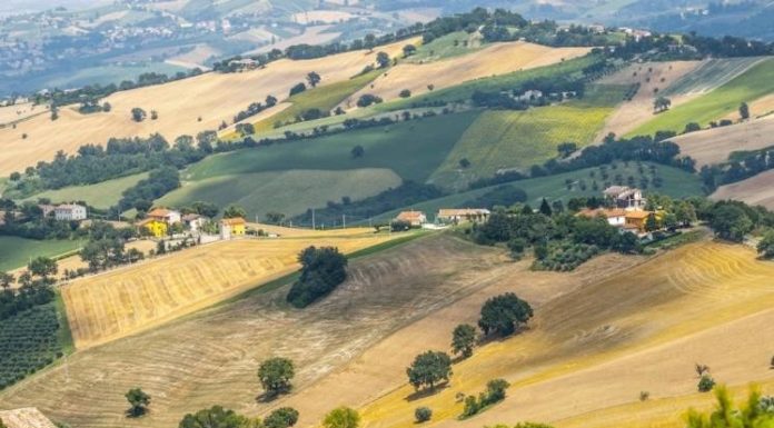 E’ nata la “Banca delle terre agricole”
