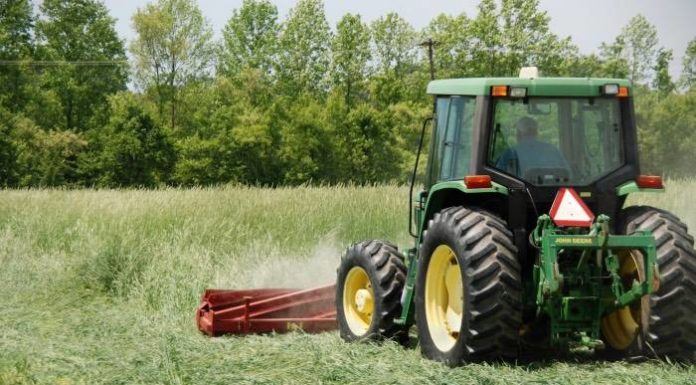 Nuove conferme sui vantaggi che offre l’agricoltura biologica