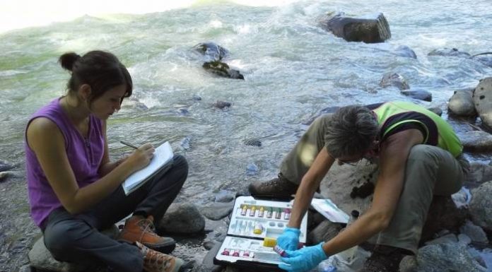 Anche le sostanze ammesse in agricoltura biologica possono essere tossiche?