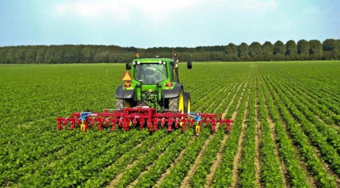 Com’è l’agricoltura italiana