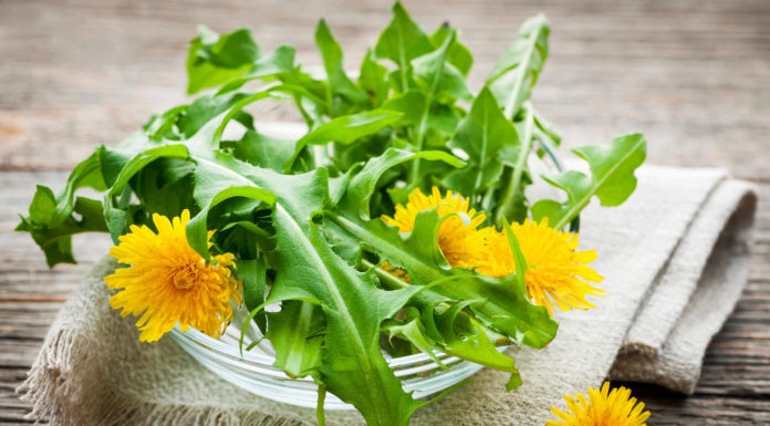 Biodiversità della cucina