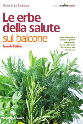 Le erbe della salute sul balcone