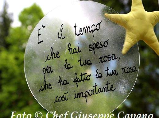 Tempo perso per la rosa 518