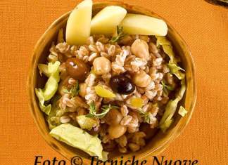 In vacanza e un po’ meno presente! Coppette di farro, ceci e patate allo zenzero 518