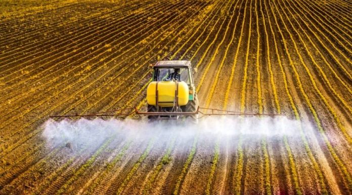 Ancora glifosato, per 10 anni?