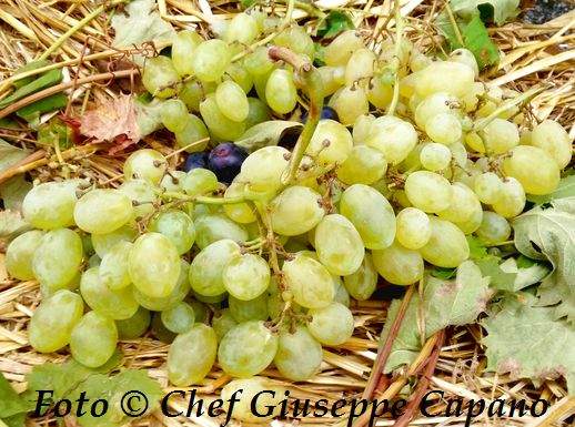 Uva su paglia 518