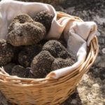 Caccia al tartufo (PG)
