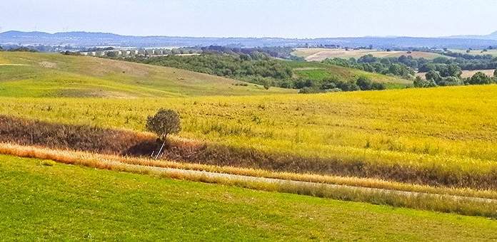 Biorticello.it, il portale che collega i piccoli produttori bio ai consumatori