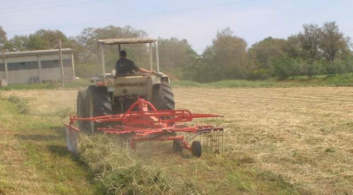 Approvazione del nuovo Regolamento europeo sul biologico: le reazioni del mondo agricolo