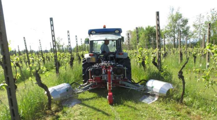 Approvato il nuovo Regolamento europeo per l’agricoltura biologica