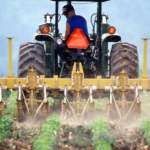 I pesticidi dentro di noi (RM)