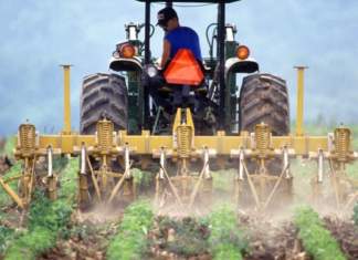 I pesticidi dentro di noi (RM)